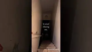 Monster in my basement #scary #creepy #nightmare #horrorstories #spooky #creepypasta #paranormal