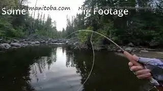 Pine River Manitoba June 2025  - Fly Fishing for Brook trout