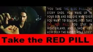 💊The Red Pill Stream💊 Seth Rich Investigation 💊 Flynn's Canary Trap 💊 Bannon's Art of War Plan