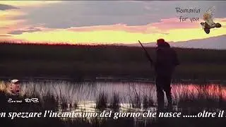Caccia al Beccaccino In Romania