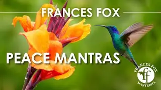 PEACE MANTRA-FOX SENSORY THERAPY VIDEO
