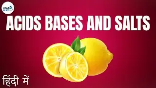 Acids Bases and Salts - Lesson 01 | Basics - in Hindi (हिंदी में ) | Don't Memorise