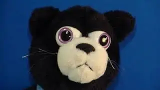 Tony Mason - splat the cat - 06 - chase the sun