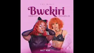 BWEKIRI - KAPACAT FT NZE ROSHAN