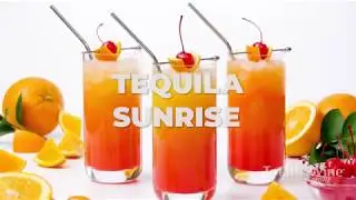 Tequila Sunrise Cocktail Recipe