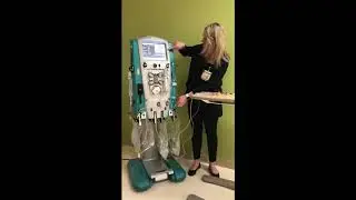 Blood Flow Path CRRT Quick Review