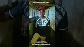 Ivo Arrey Mbongaya on the Visits of SOBANS To the Sustainable Fish Program at the ACCD Cameroon