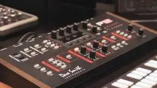 Dave Smith Instruments Prophet 12 Module: Powerful Desktop Synthesizer - Dubspot @ NAMM 2014