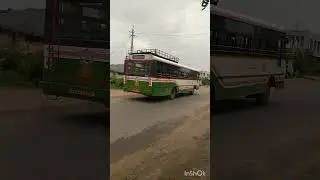 TSRTC#PALLE VELUGU#BUS#LOVER#shortvideo#ytshorts#TSRTC
