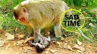 Sad Time of Lizza !! Cute baby Lizza hungry milk but mom not know baby feeling.