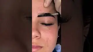 The Only Brow Masterpiece You Need