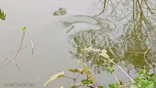Amazing Hook Fishing New Motion.fish catching videos in village.traditional fishing life