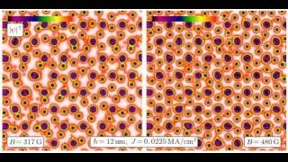 Vortex dynamics in hexagonal pinscape, B = 317, 480 G, J = 0.0225 MA/cm^2, h = 12 nm