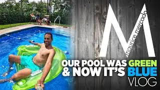 From Swamp to Swim-Ready: How I Cleared My Pool FAST! (Step-by-Step DIY Guide)