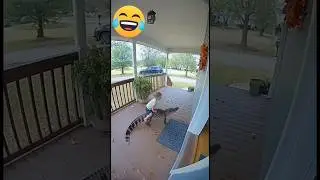 Epic funny fail compilation 😂 | #trynottolaugh #funny #fail #shorts #shrtsfeed