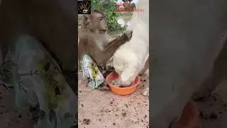 There's Love In Sharing. #naturelovers #wildlife #wildlifeforkids #animals #animalkingdom