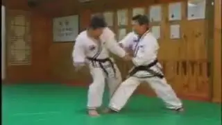 Hapkido   Korean Jujutsu