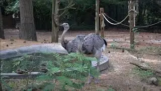 The Salisbury Zoo, Salisbury, Maryland, United States.