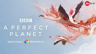 A Perfect Planet | Discovery+ | JioTV+ 📺