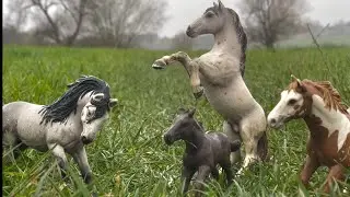 Mustang rescue part 2 - schleich horse video rp - vet helping horses