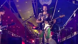 Amadis and The Ambassadors. Freedom