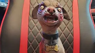 My New Pet Zombie Dog, Name Skabs!