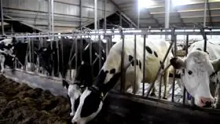 Keydollar AGRI XL totaal video| Wesselingh