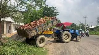 Sonalika Tractor Unloading Half Bricks #tractorunloading #tractorvideo