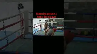 Esparring session mobo boxing gym #casimero #boxing #combat #sports #action #highlights #boxingring