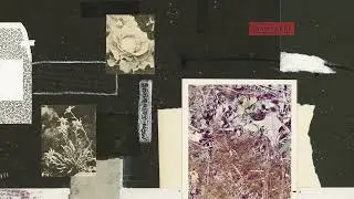 Hailaker - Krushing