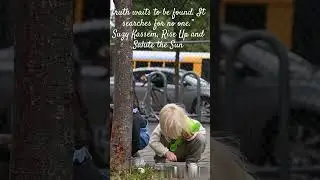 Quote Searching