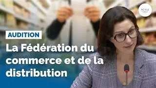 Audition de la Fédération du commerce et de la distribution