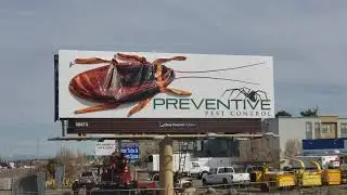 3D Billboard Installation - Preventive Cockroach