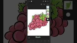 Digital Illustration of Grape Fruit in Infinite Design Android #drawing #art #draw #illustration