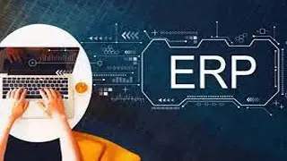 Pak Developer Enterprise Resource Planning ERP Software All In One ERP Solutions
