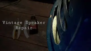 Vintage Guitar Amp Speaker Repair | 1959 Jensen P12R