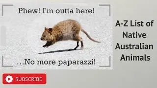 A Z List of Native Australian Animals