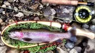 Rainbow trout fly fishing Japan #fishingtechnique #troutfishing #flyfishing