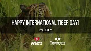 TIGER DAY 2022 29 JULI