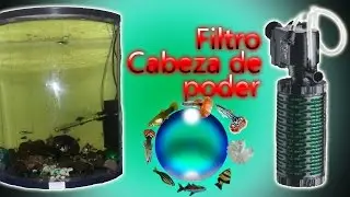 Como limpiar filtro para acuarios caveza de poder
