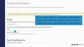 How to update your contact information in cPanel with BLUE ARCTIC