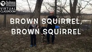Brown Squirrel Song