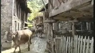 Historia de la Madreña en Caso, Asturias (II)