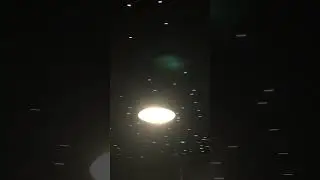 IMG 5500