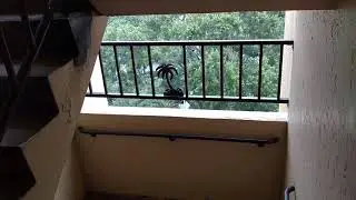 Hurricane Irma 10am Sebring FL