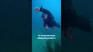 Sure, you can swim with your hands underwater but not with Reef Oasis Diving Center.