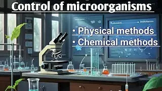 Control of microorganisms!! Physical and Chemical control of microorganisms!! #microbiology