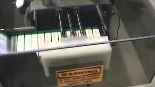 Carton Collating Conveyor