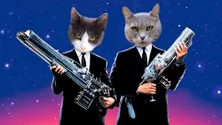 Cute Spy Cats Compilation | Loyal Pals
