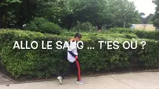 All&ocirc; le sang... t'es o&ugrave; ? [FPI 2017 Charrel]